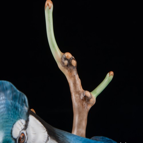 Голубая сойка, Herend, Венгрия