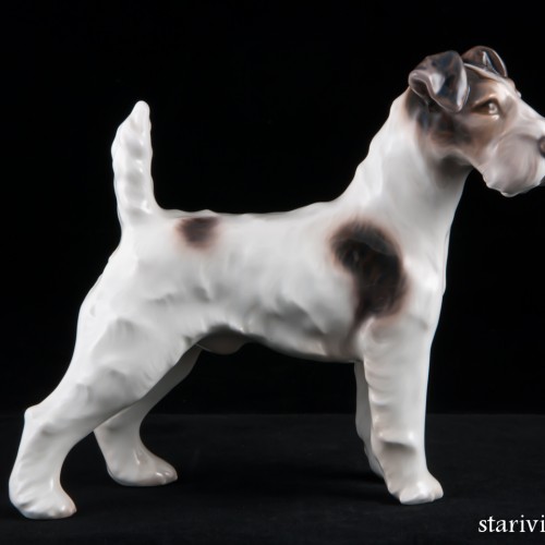 Фокстерьер, Bing & Grondahl, Дания, сер. 20 в