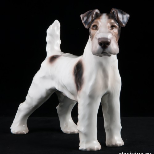 Фокстерьер, Bing & Grondahl, Дания, сер. 20 в