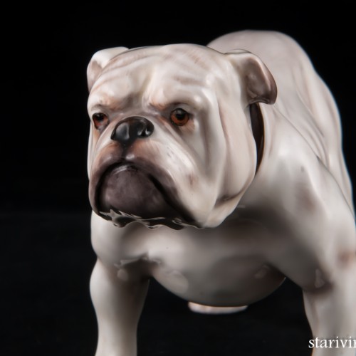 Английский бульдог, Royal Doulton, Великобритания, сер. 20 в