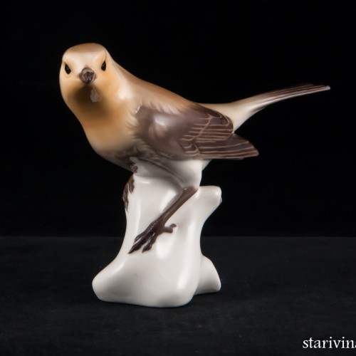 Птичка-малиновка, Nymphenburg, Германия, сер. 20 в