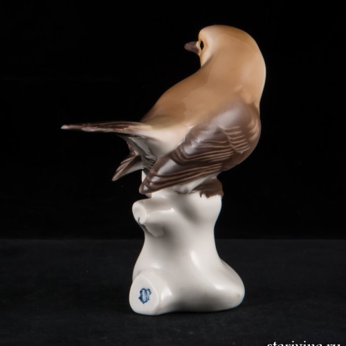 Птичка-малиновка, Nymphenburg, Германия, сер. 20 в