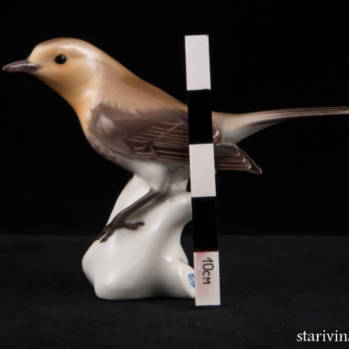 Птичка-малиновка, Nymphenburg, Германия, сер. 20 в