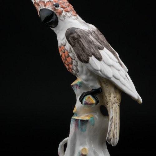 Попугай какаду, Франция, 19 в