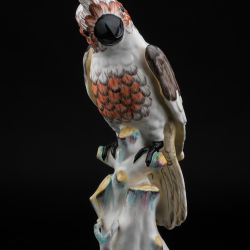 Попугай какаду, Франция, 19 в