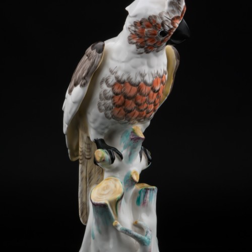 Попугай какаду, Франция, 19 в