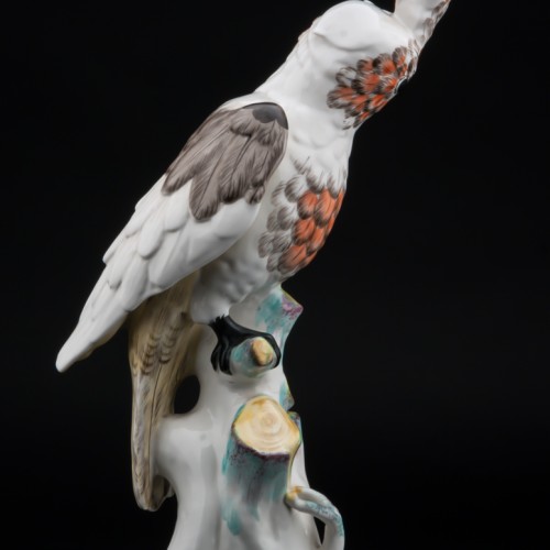 Попугай какаду, Франция, 19 в