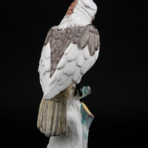 Попугай какаду, Франция, 19 в