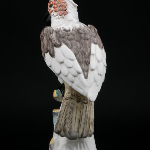 Попугай какаду, Франция, 19 в