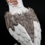 Попугай какаду, Франция, 19 в