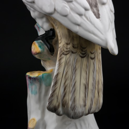 Попугай какаду, Франция, 19 в