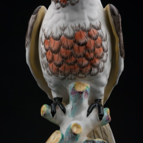 Попугай какаду, Франция, 19 в