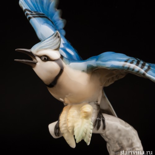 Голубая сойка, Hutschenreuther, Германия, 1970 гг