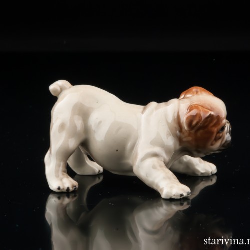 Щенок английского бульдога, миниатюра