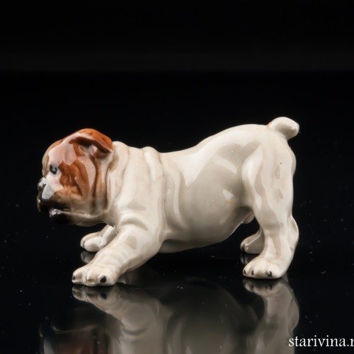 Щенок английского бульдога, миниатюра