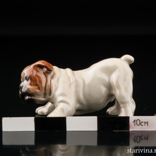 Щенок английского бульдога, миниатюра