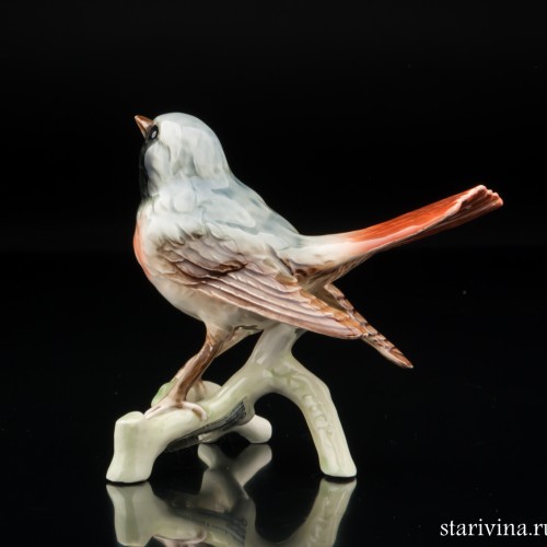 Горихвостка, Goebel, Германия, 1975 г