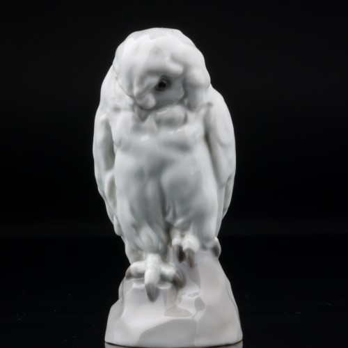 Белая сова, Heubach, Германия, пер. пол. 20 в