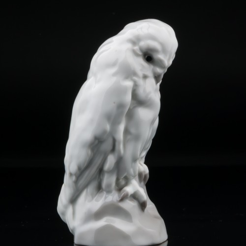 Белая сова, Heubach, Германия, пер. пол. 20 в