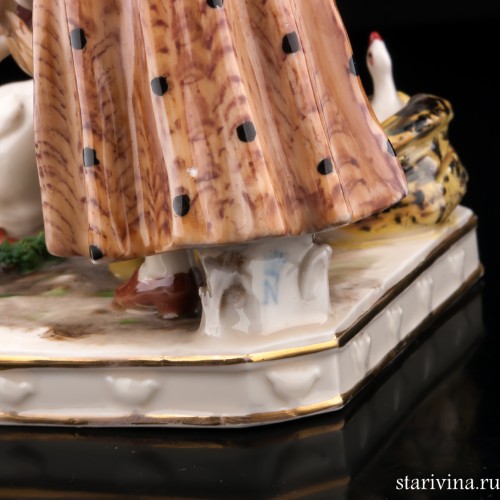 Кормление гусей, Дрезден, Германия, нач. 20 в