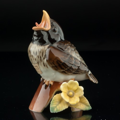 Птенец дрозда, Hutschenreuther, Германия