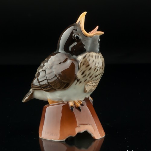 Птенец дрозда, Hutschenreuther, Германия