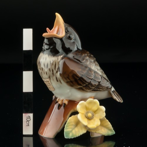 Птенец дрозда, Hutschenreuther, Германия