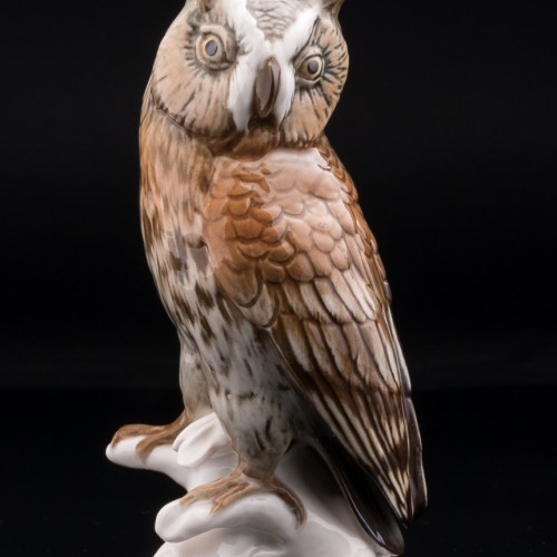 Ушастая сова, Karl Ens, Германия