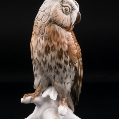 Ушастая сова, Karl Ens, Германия