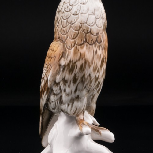 Ушастая сова, Karl Ens, Германия