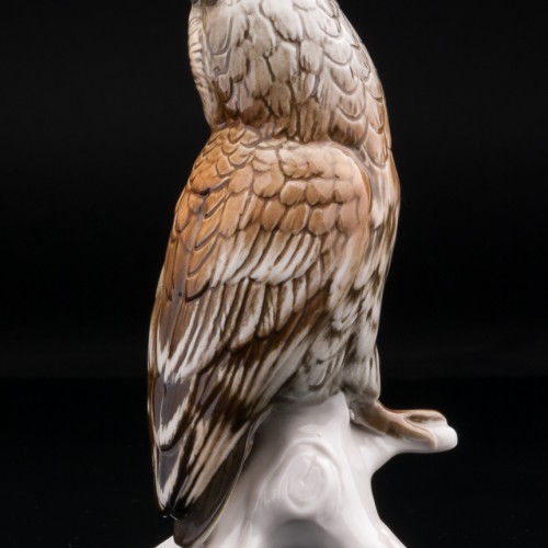 Ушастая сова, Karl Ens, Германия