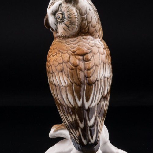 Ушастая сова, Karl Ens, Германия