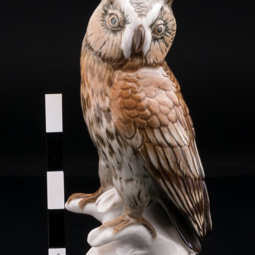 Ушастая сова, Karl Ens, Германия