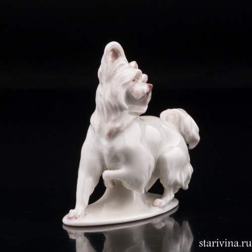 Скай терьер, миниатюра, Rosenthal, Германия, до 1935 г