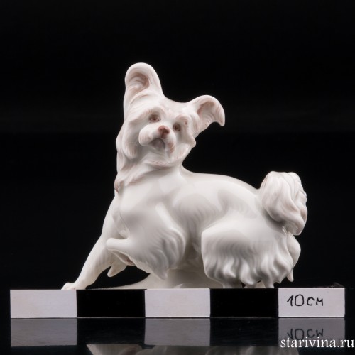 Скай терьер, миниатюра, Rosenthal, Германия, до 1935 г