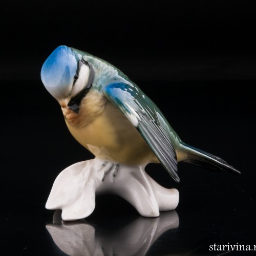 Синица-лазоревка, Karl Ens, Германия