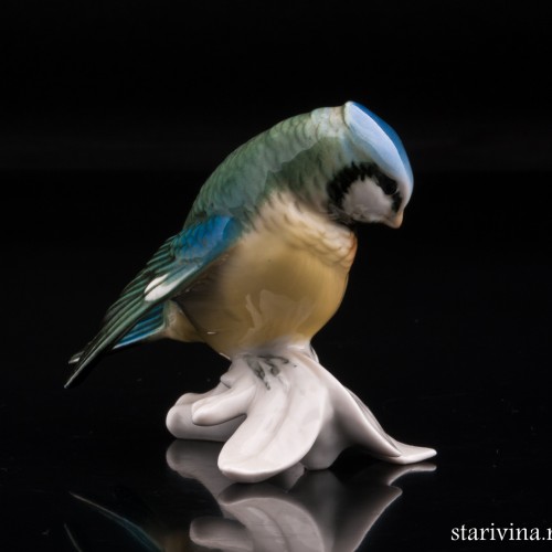 Синица-лазоревка, Karl Ens, Германия