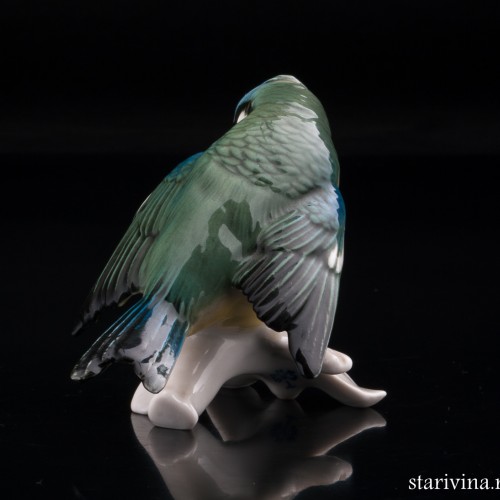 Синица-лазоревка, Karl Ens, Германия