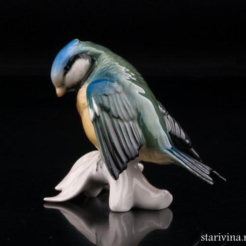 Синица-лазоревка, Karl Ens, Германия