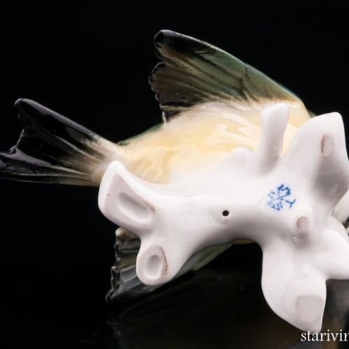 Синица-лазоревка, Karl Ens, Германия