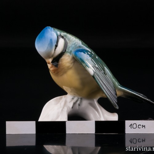 Синица-лазоревка, Karl Ens, Германия