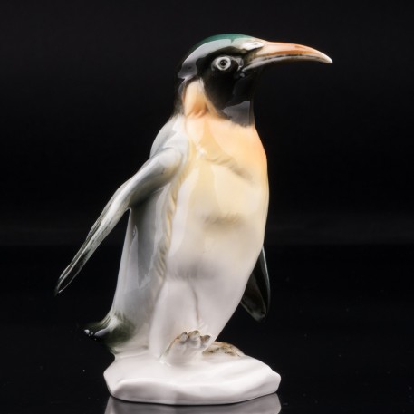 Королевский пингвин, Karl Ens, Германия