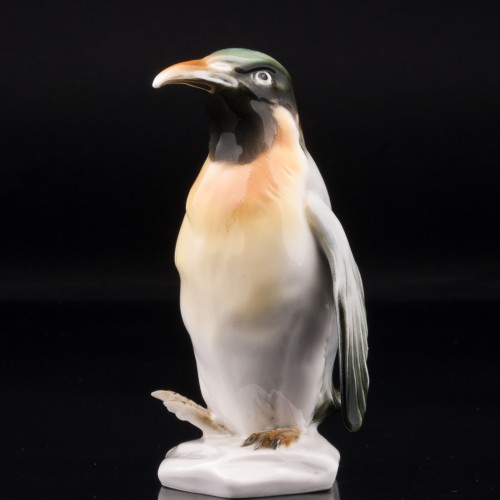 Королевский пингвин, Karl Ens, Германия