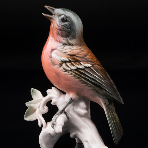 Зяблик, Karl Ens, Германия