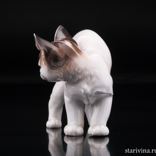 Котенок с выгнутой спинкой, Rosenthal, Германия, 1920 гг