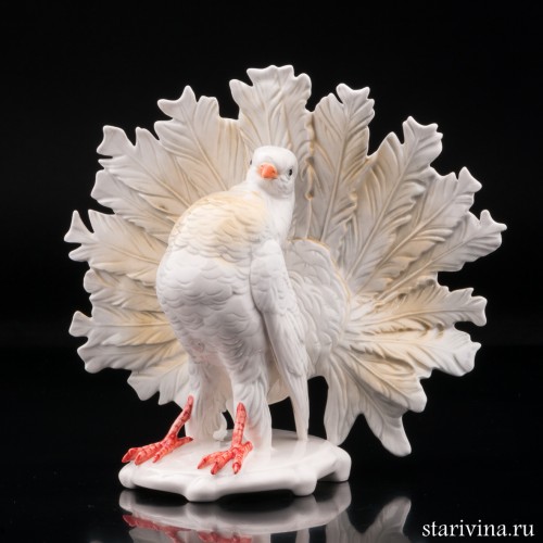 Голубь, Karl Ens, Германия