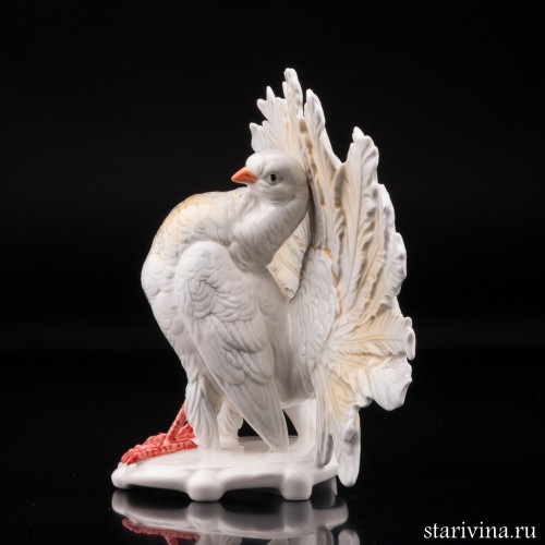 Голубь, Karl Ens, Германия