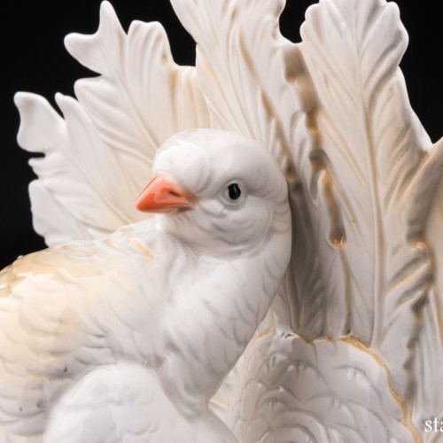 Голубь, Karl Ens, Германия