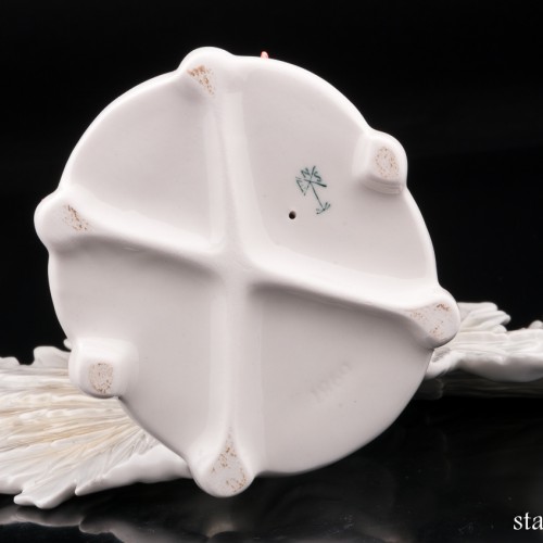 Голубь, Karl Ens, Германия