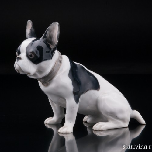 Французский бульдог, Heubach, Германия, нач. 20 в